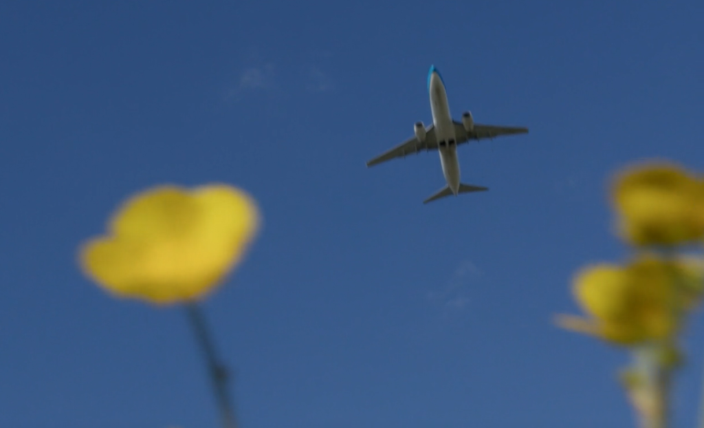 Featured image for Aviation ADR last 12 months performance (05/03/2023)